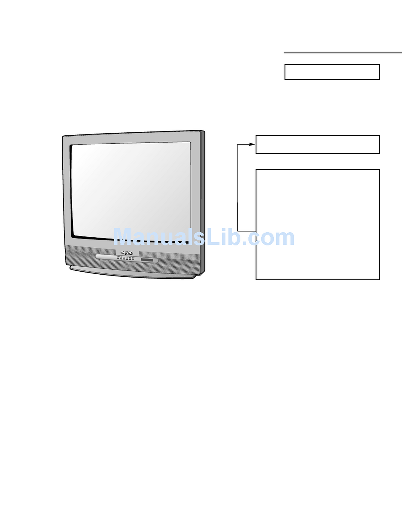 Sanyo DS27820 User manual