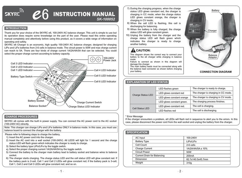 Skyrc e6 SK-100052 User manual