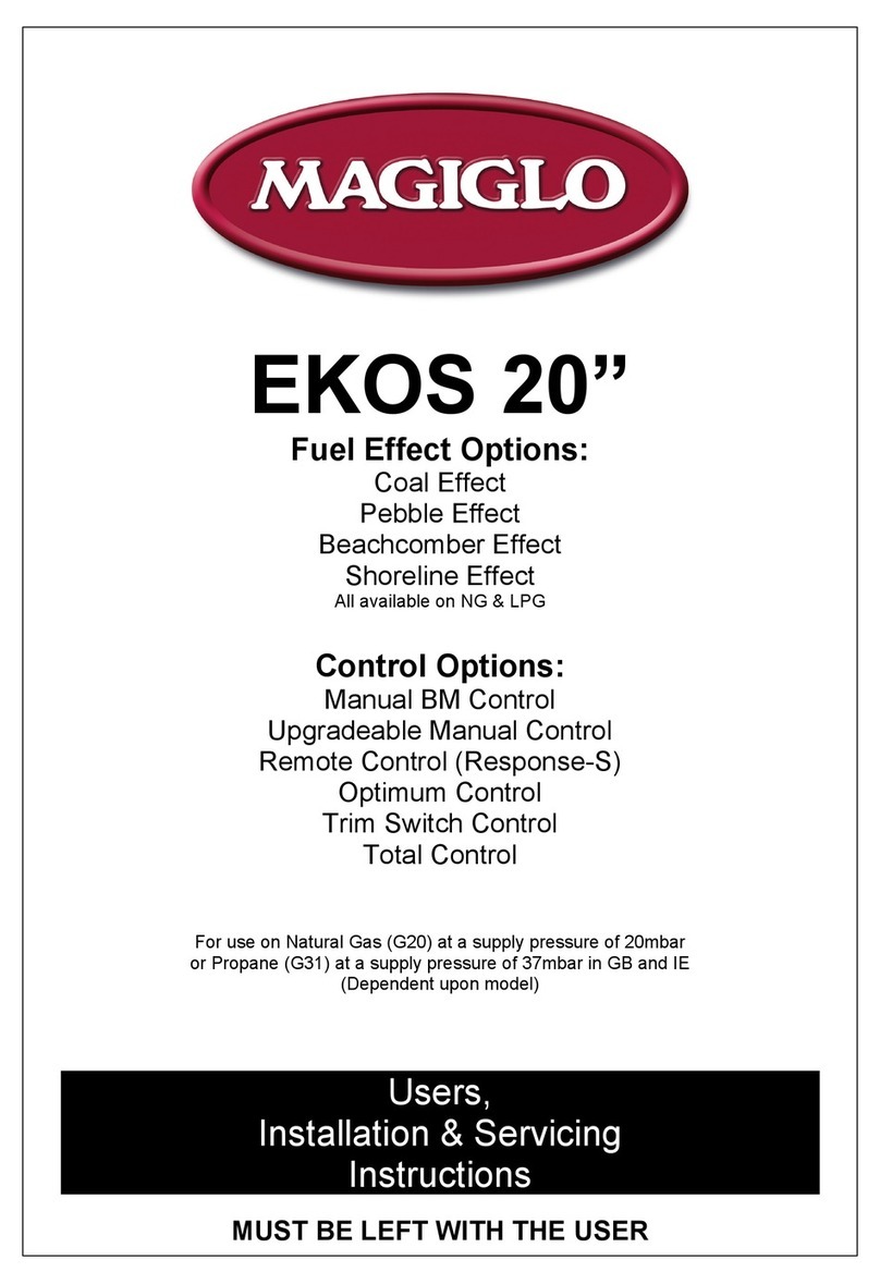 Magiglo Ekos 20 User, installation & servicing instructions