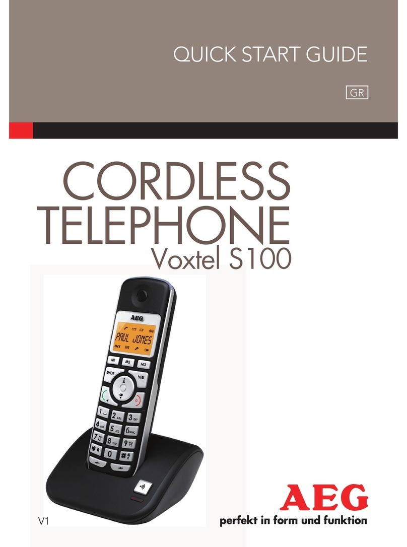 AEG Voxtel S100 User manual
