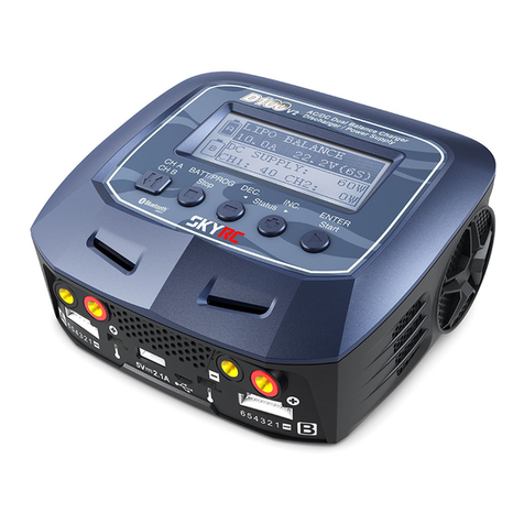 Skyrc D100 User manual