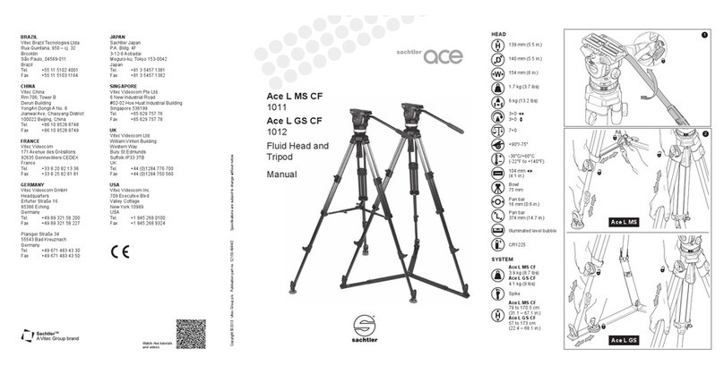 Ace L MS CF 1011 manual
