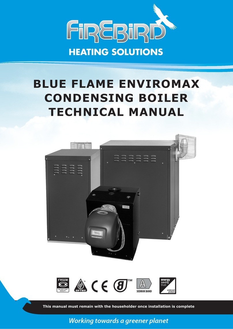 FireBird BLUE FLAME ENVIROMAX User manual