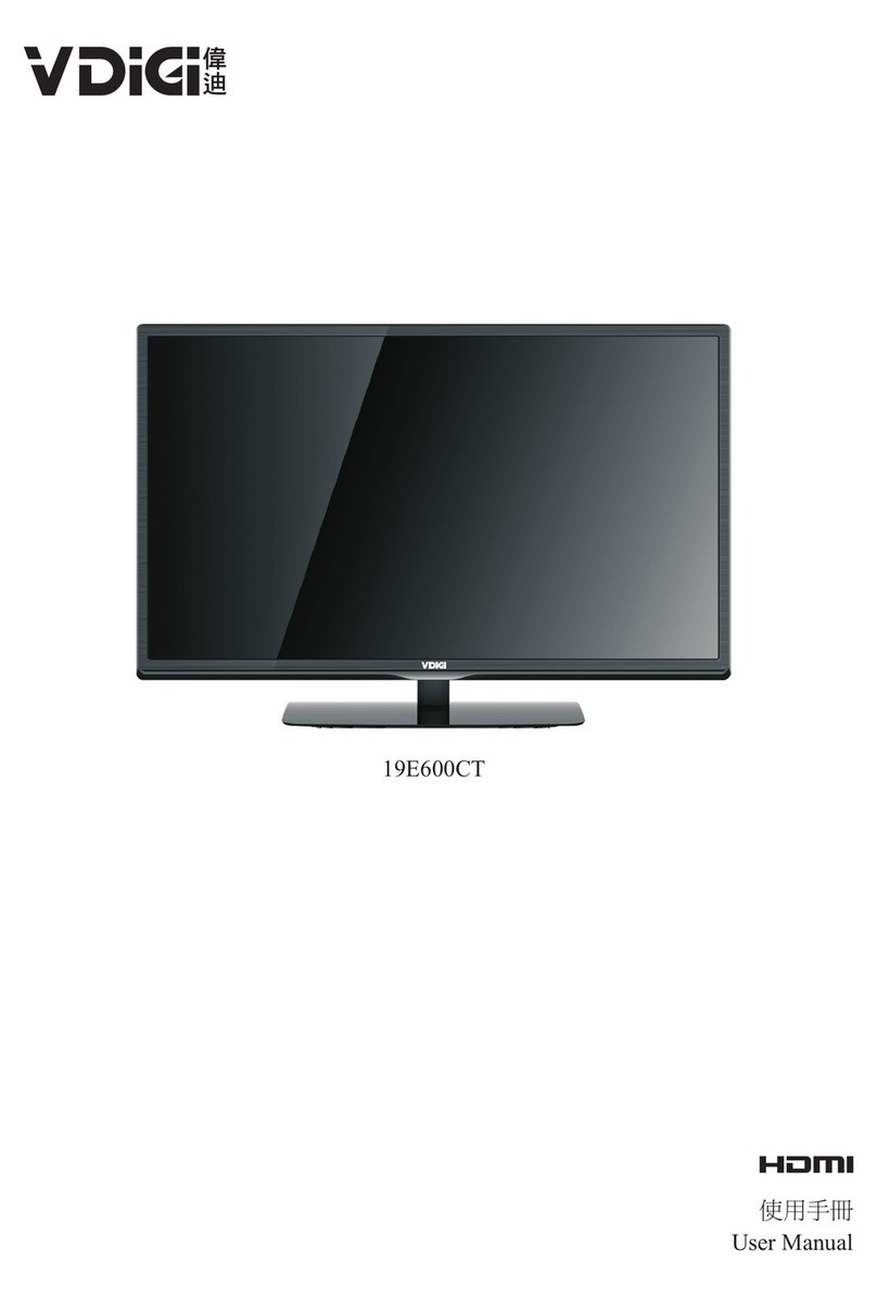 VDigi 19E600CT user manual