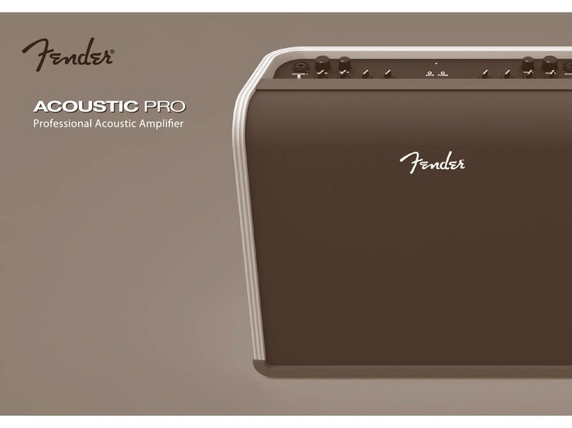 Fender Acoutic PRO User manual