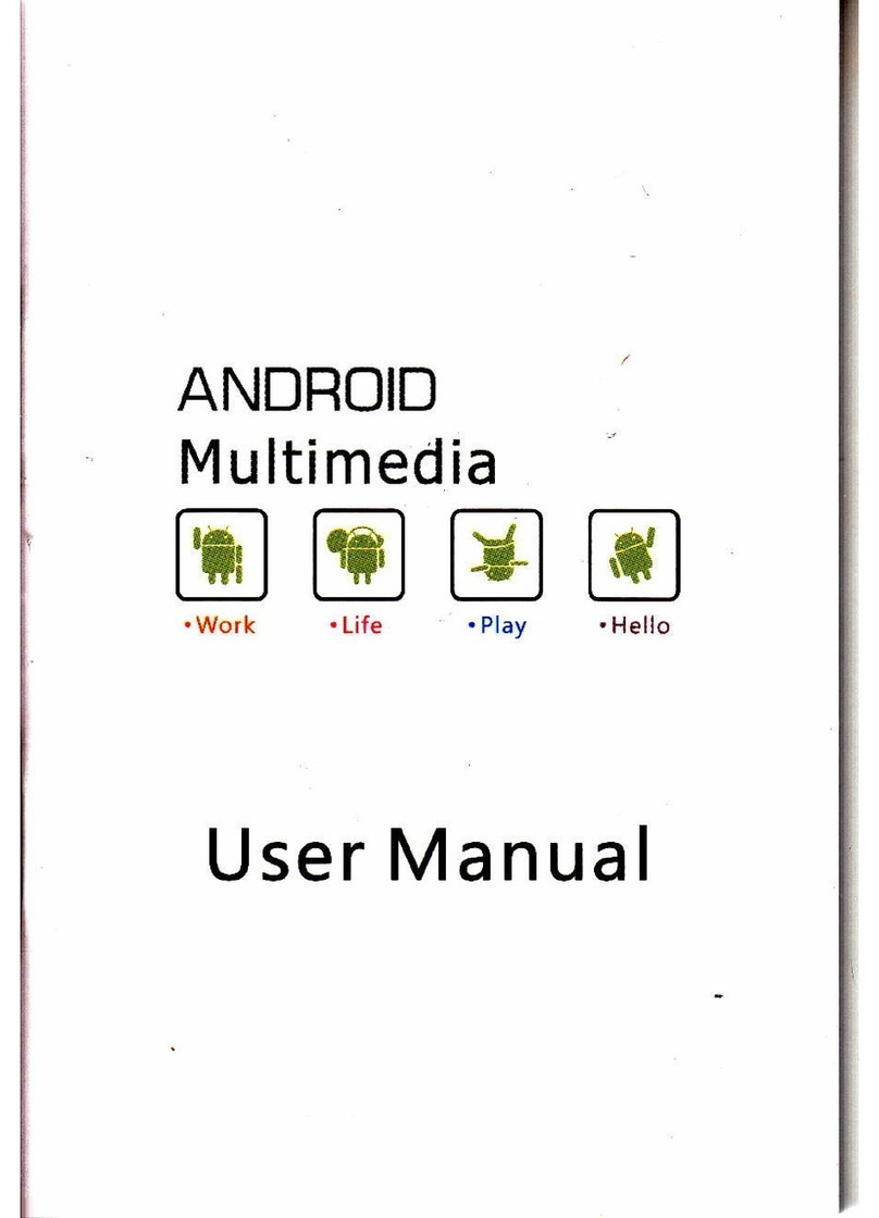 Chinavision CVYZ-M438 user manual