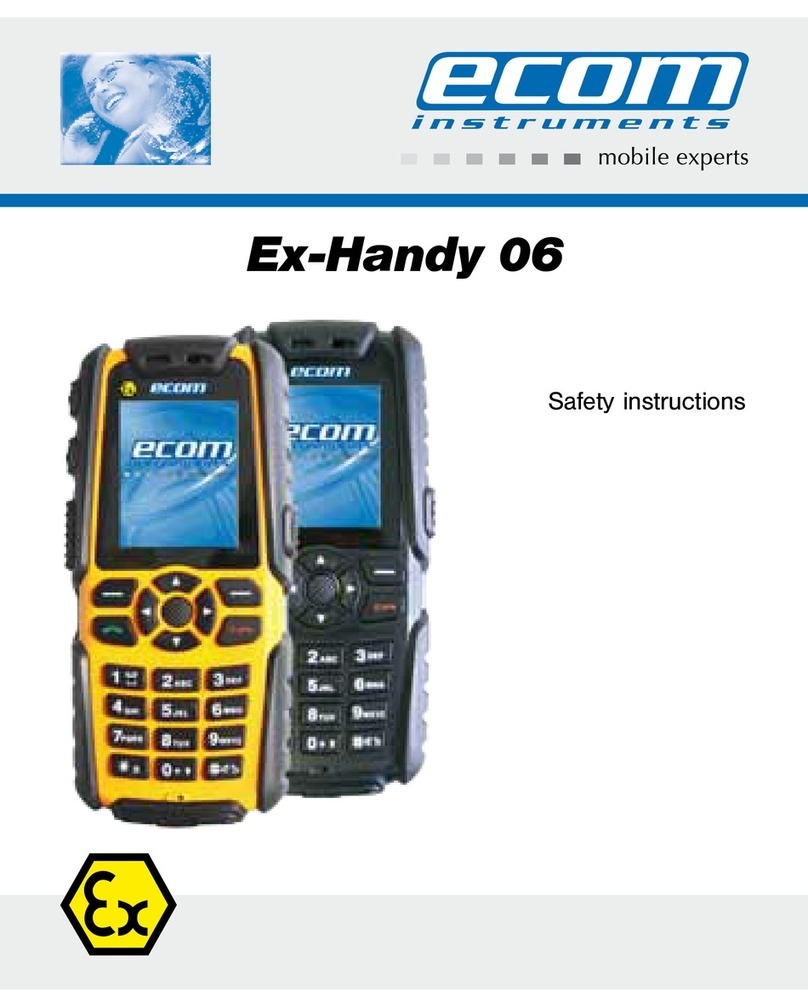 Ecom Instruments Ex-Handy 06 Installation instructions Ecom Instruments Ex-Handy 06 Installation instructions