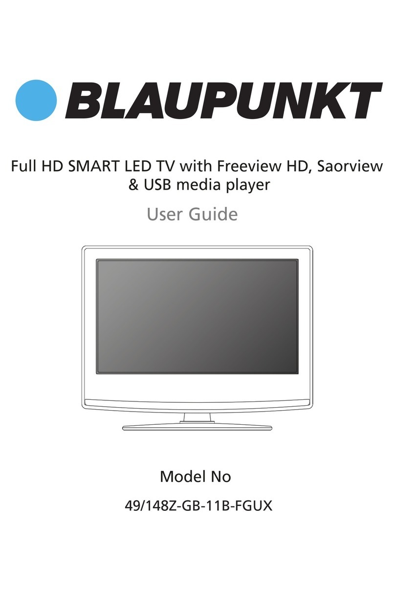Blaupunkt 49/148Z-GB-11B-FGUX User manual