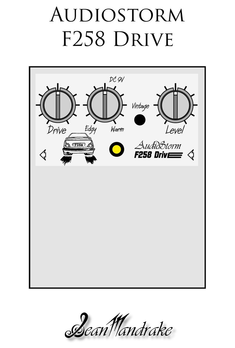 Sean Mandrake Audiostorm F258 Drive instructions