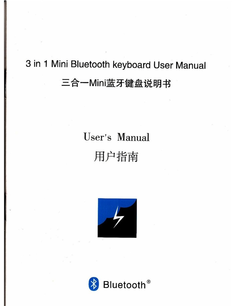 Chinavision CVPT-A163 user manual