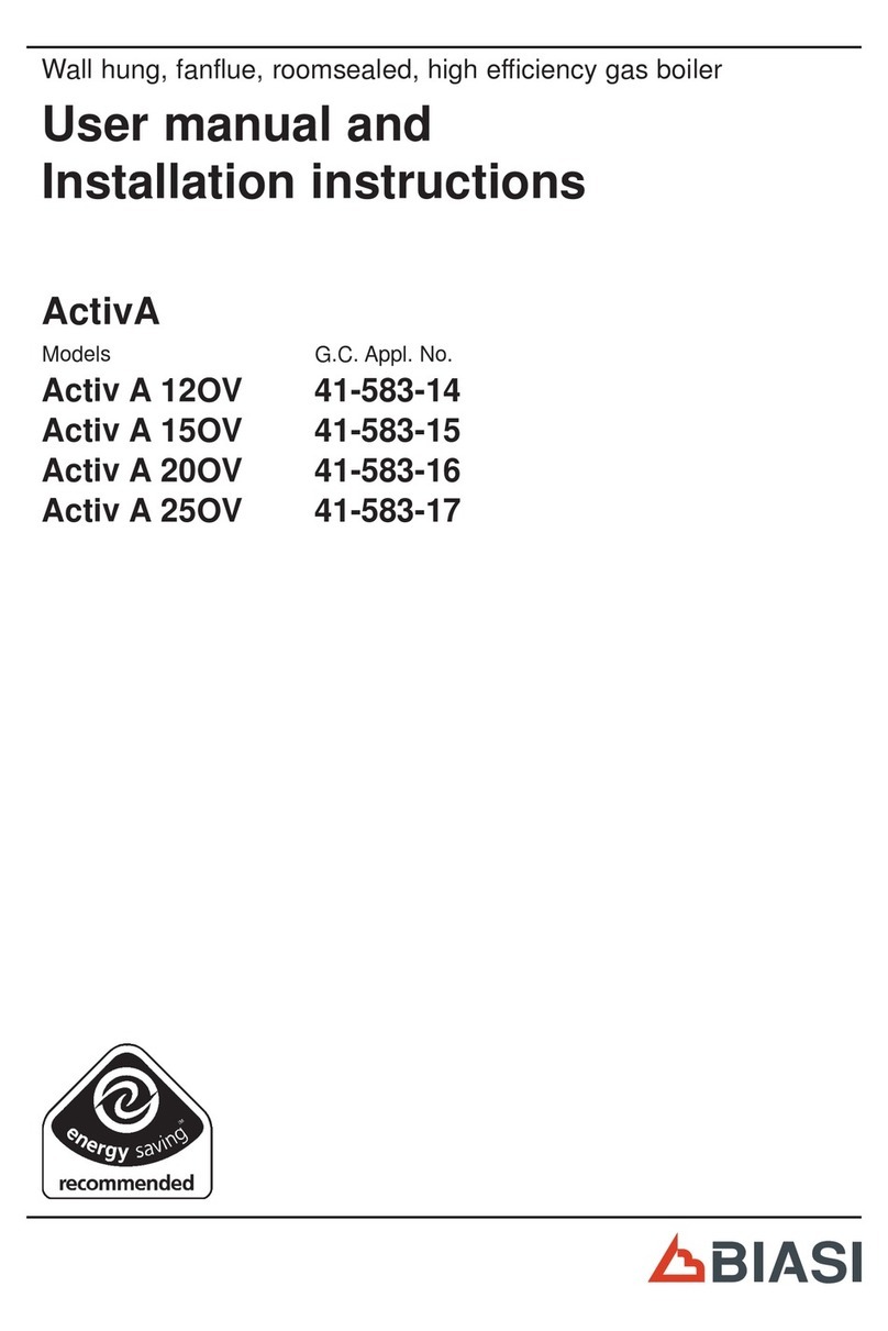 Biasi Activ A 250V User manual and installation instructions