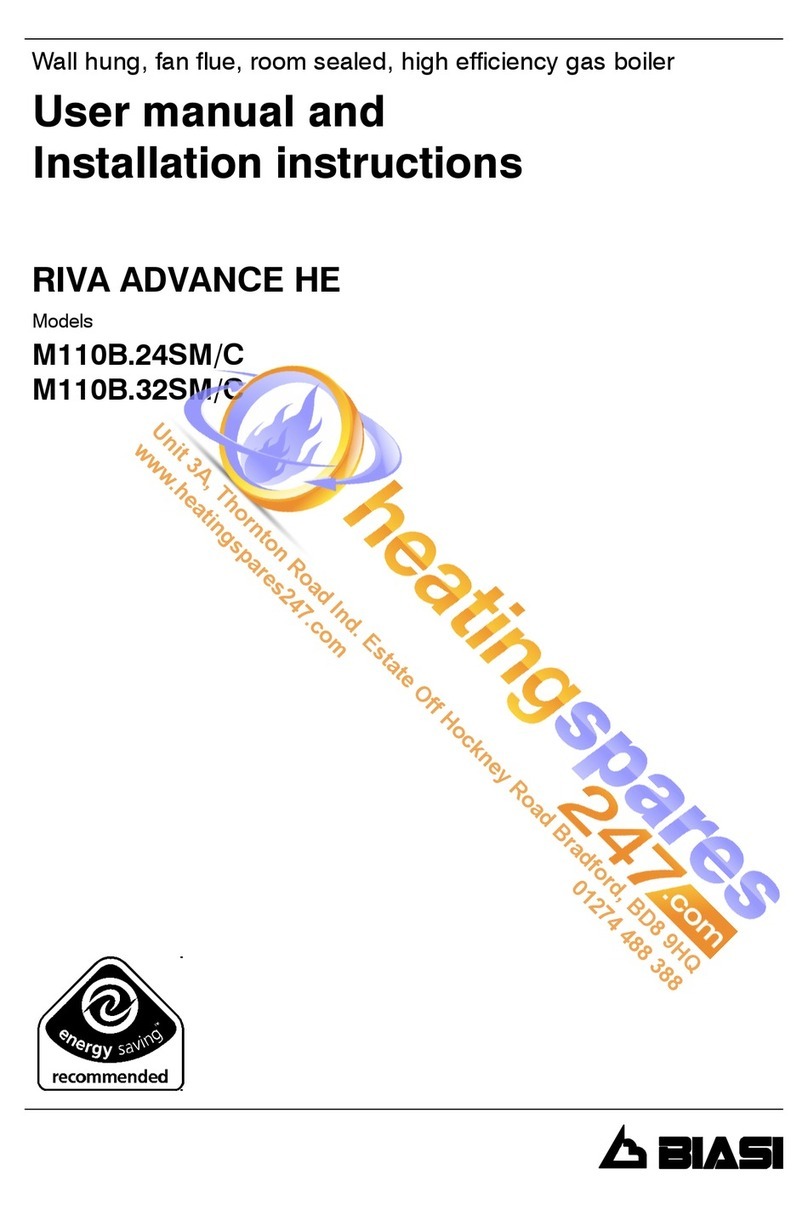 Biasi RIVA ADVANCE HE M110B.24SM/C User manual and installation instructions