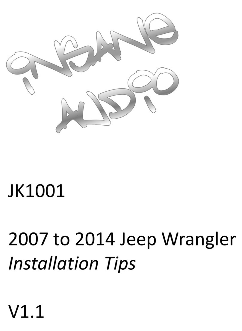 Insane Audio JK1001 Assembly instructions