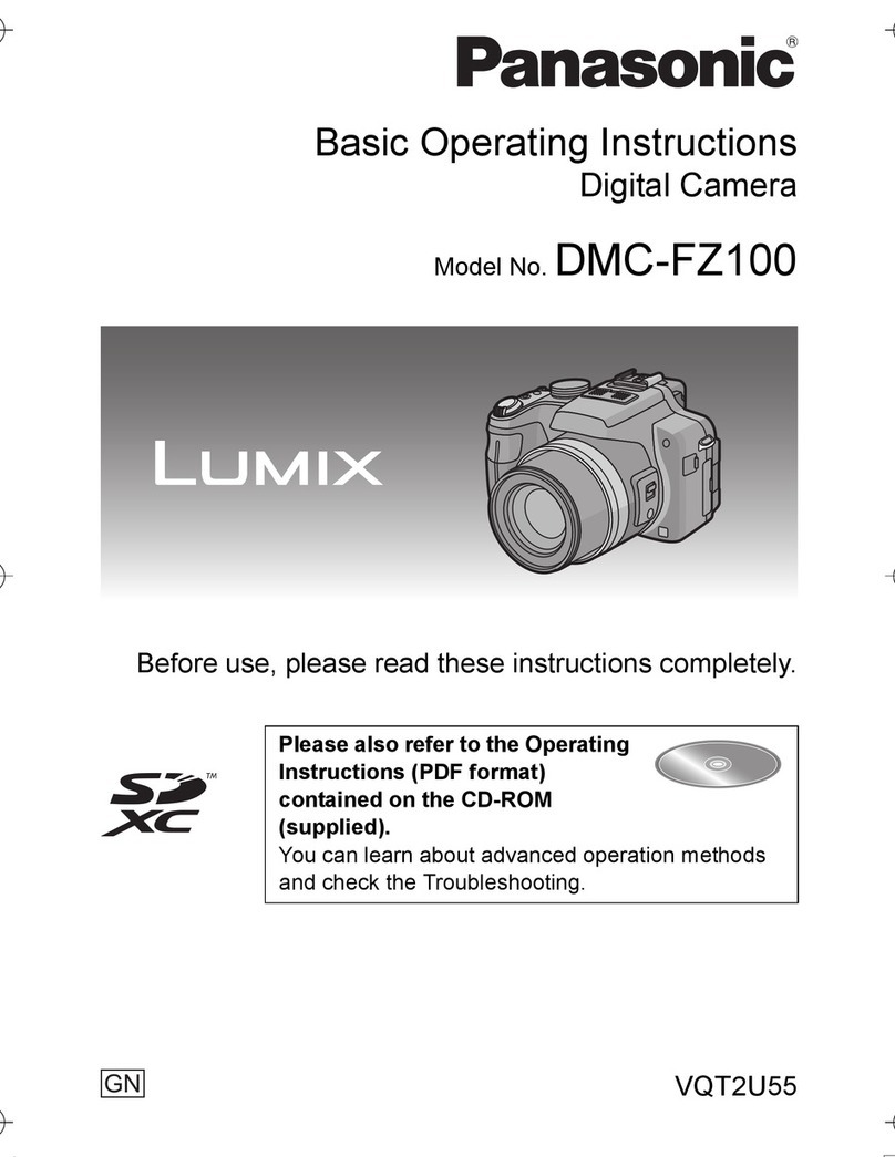 Panasonic LUMIX DMC-FZ100 Technical specifications