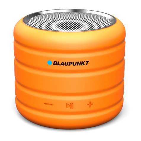 Blaupunkt BT01OR User manual