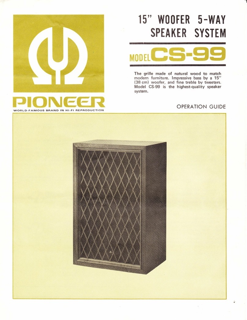 Pioneer CS-99 User manual