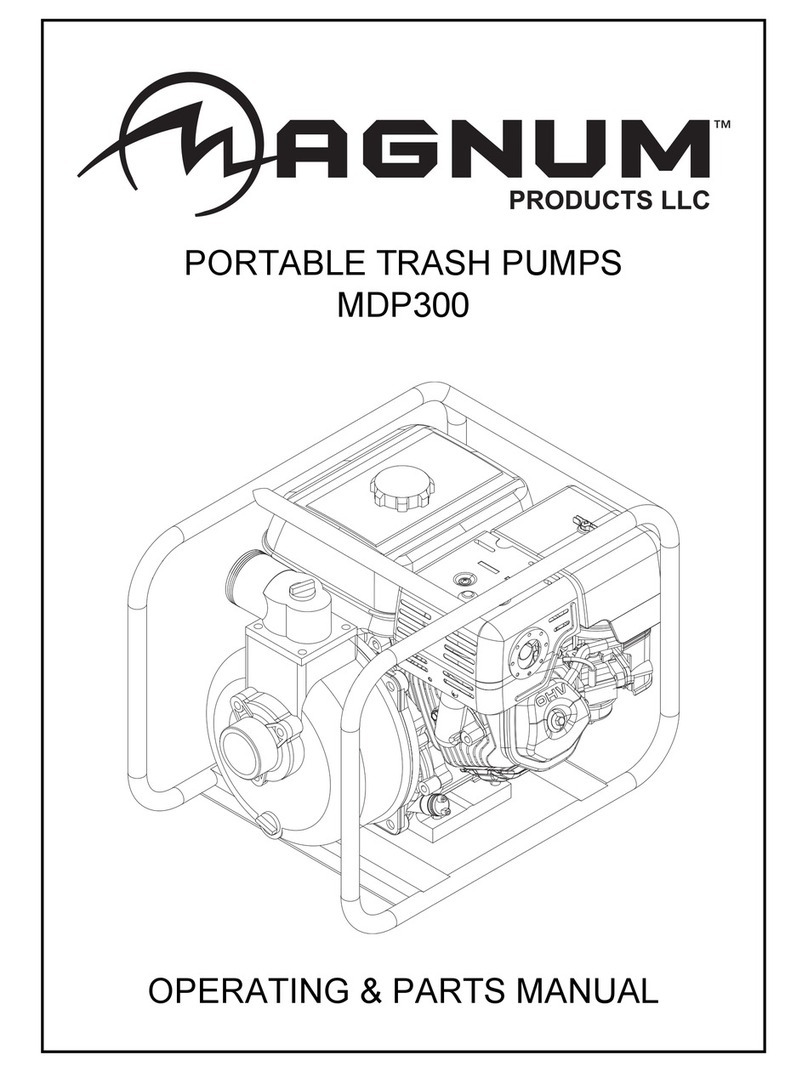 Magnum MDP300 User manual