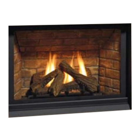 Regency P33CE-NG10 Owners & installation manual