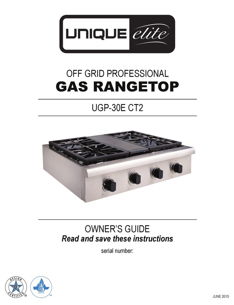 Unique Gas Products UGP-30E CT2 User manual