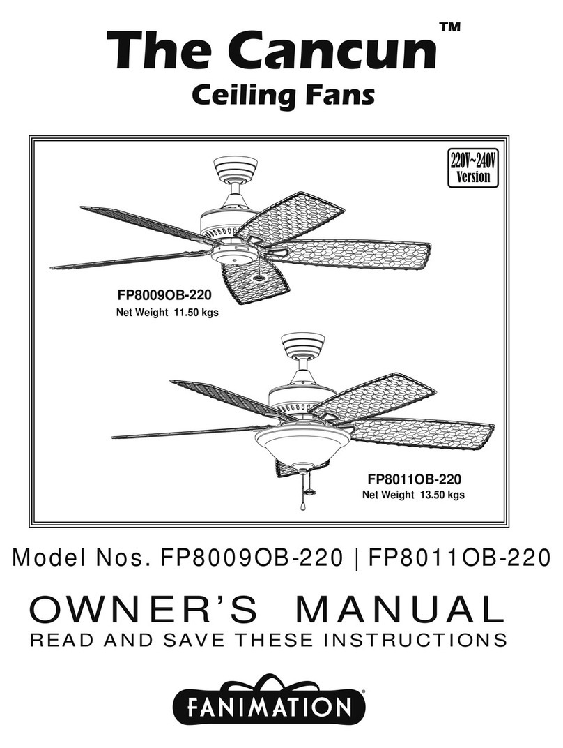 Fanimation Cancun FP8009OB-220 User manual