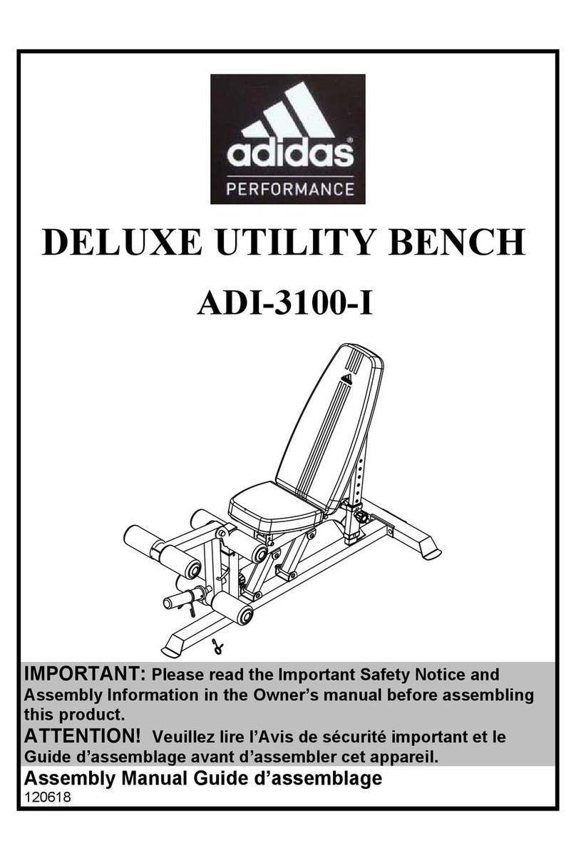 Impex ADI-3100-I User manual Impex ADI-3100-I User manual