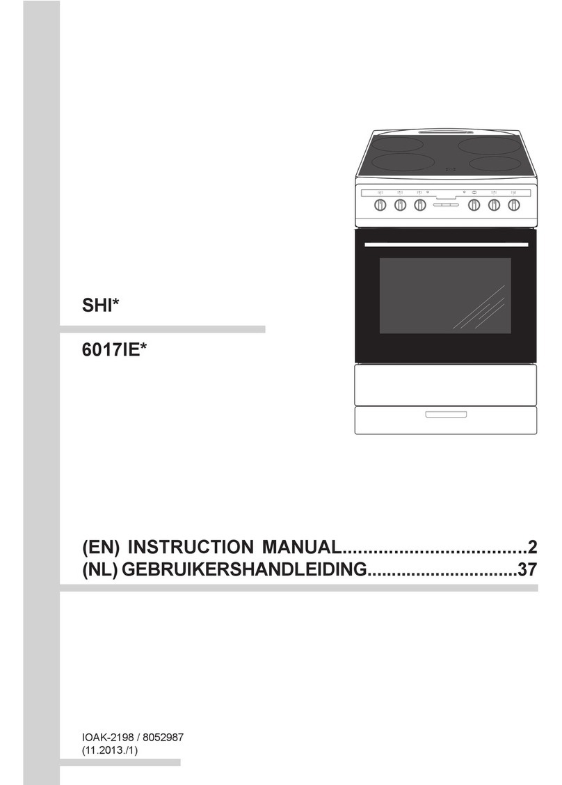 Amica SHI Series instruction manual