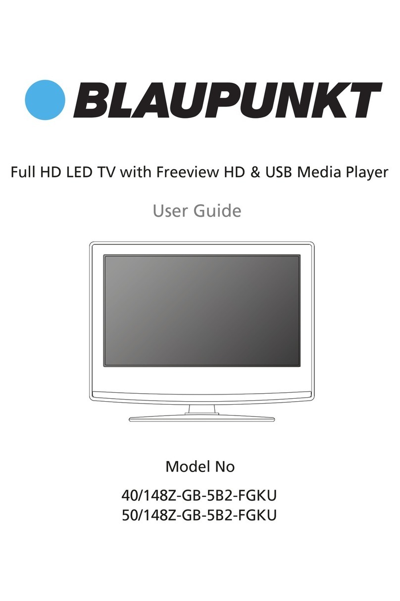 Blaupunkt 40/148Z-GB-5B2-FGKU User manual