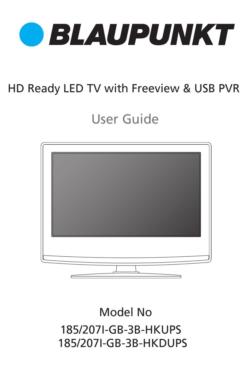Blaupunkt 185/207I-GB-3B-HKUPS User manual