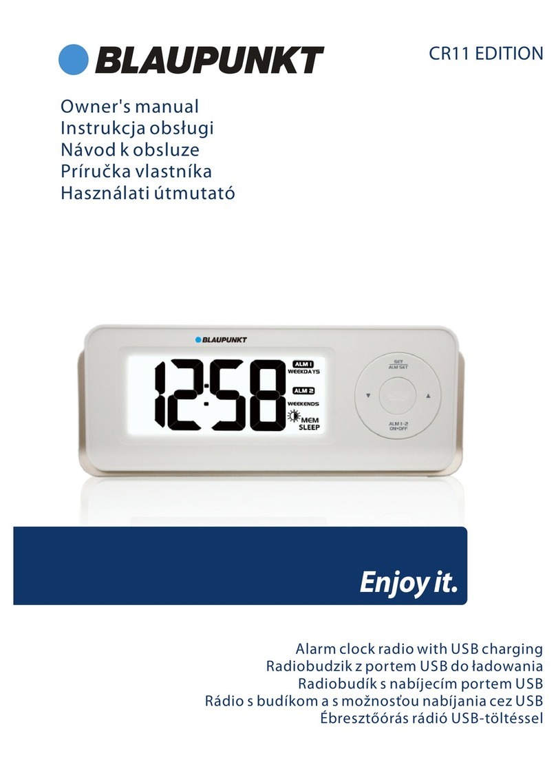Blaupunkt CR11 Edition User manual