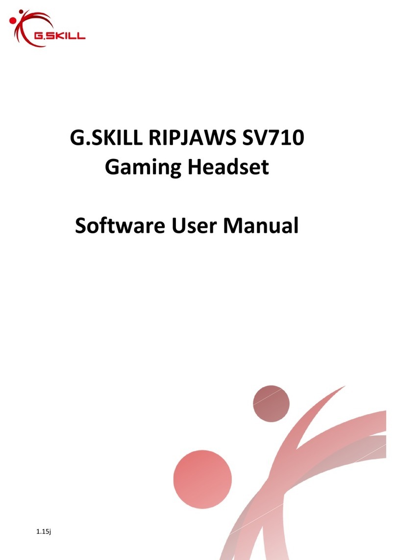G.SKILL RIPJAWS SV710 Software user manual