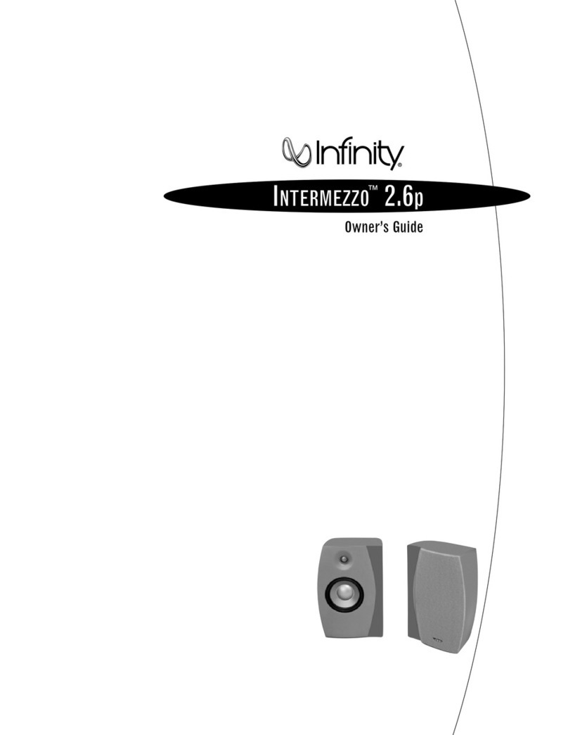 Infinity Intermezzo 2.6p owner's guide