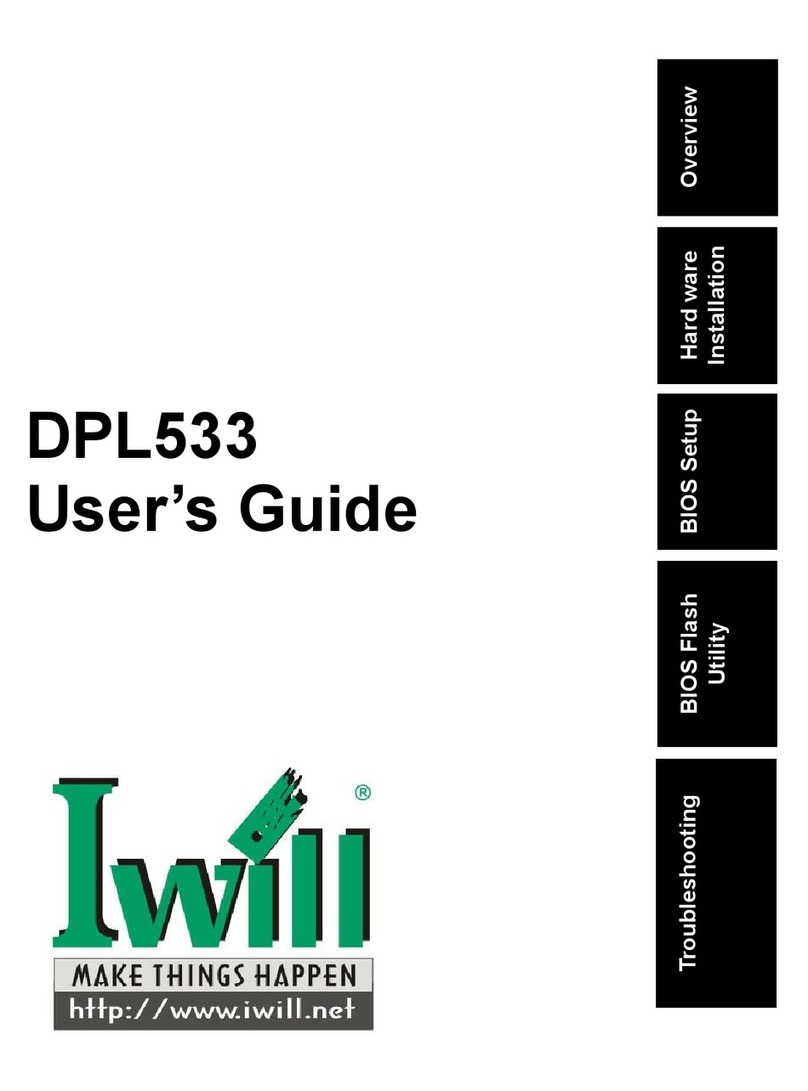 IWILL DPL533 user guide