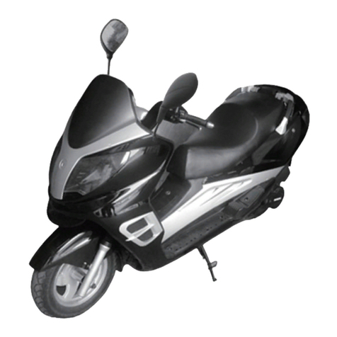 ZNEN ZN250T-D owner's manual