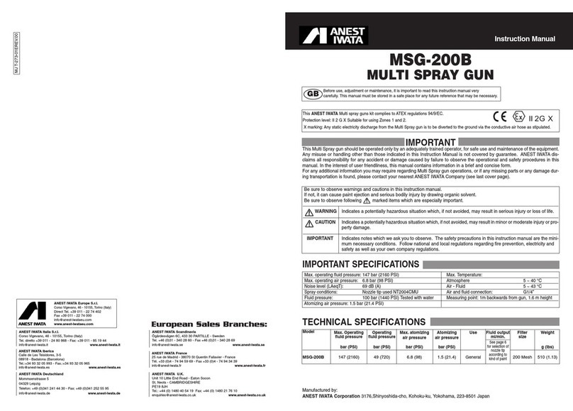Anest Iwata MSG-200B instruction manual
