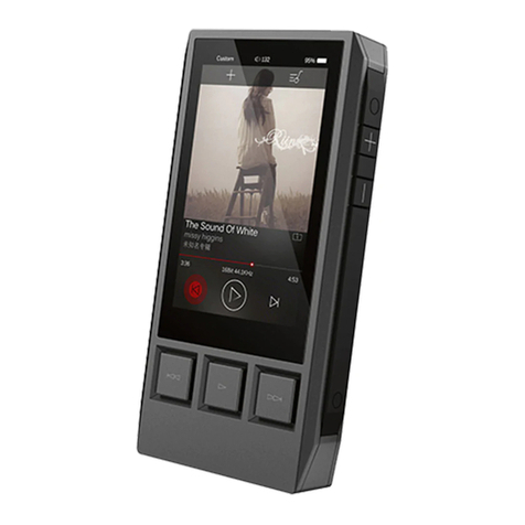 iBasso DX80 User manual
