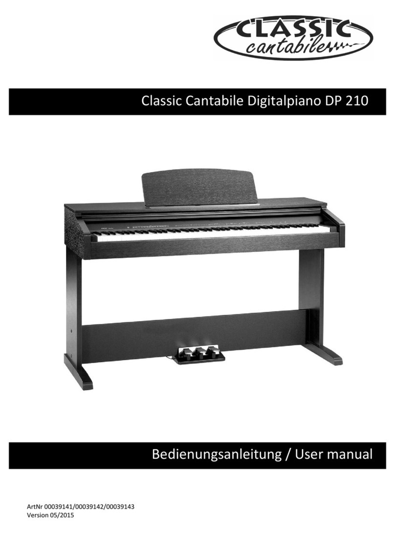 Classic Cantabile DP 210 user manual