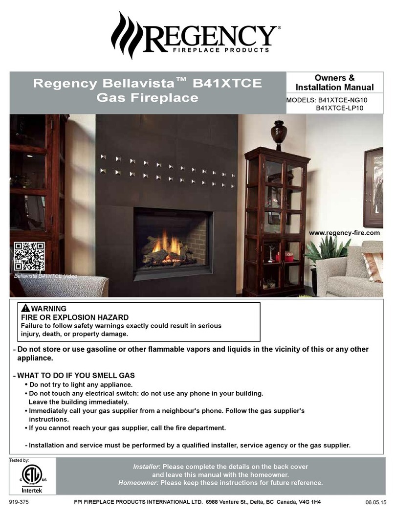 Regency Bellavista B41XTCE-NG10 Owners & installation manual