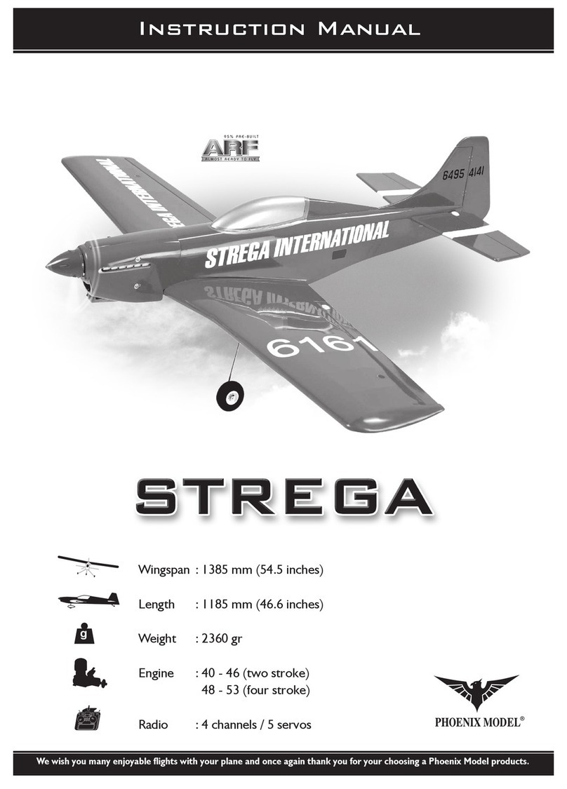 Phoenix Model strega instruction manual