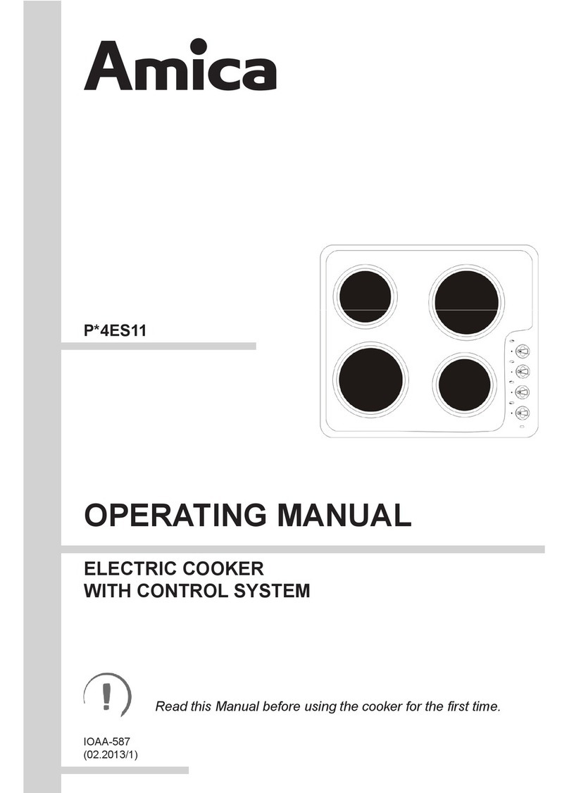 Amica P*4ES11 series User manual Amica P*4ES11 series User manual