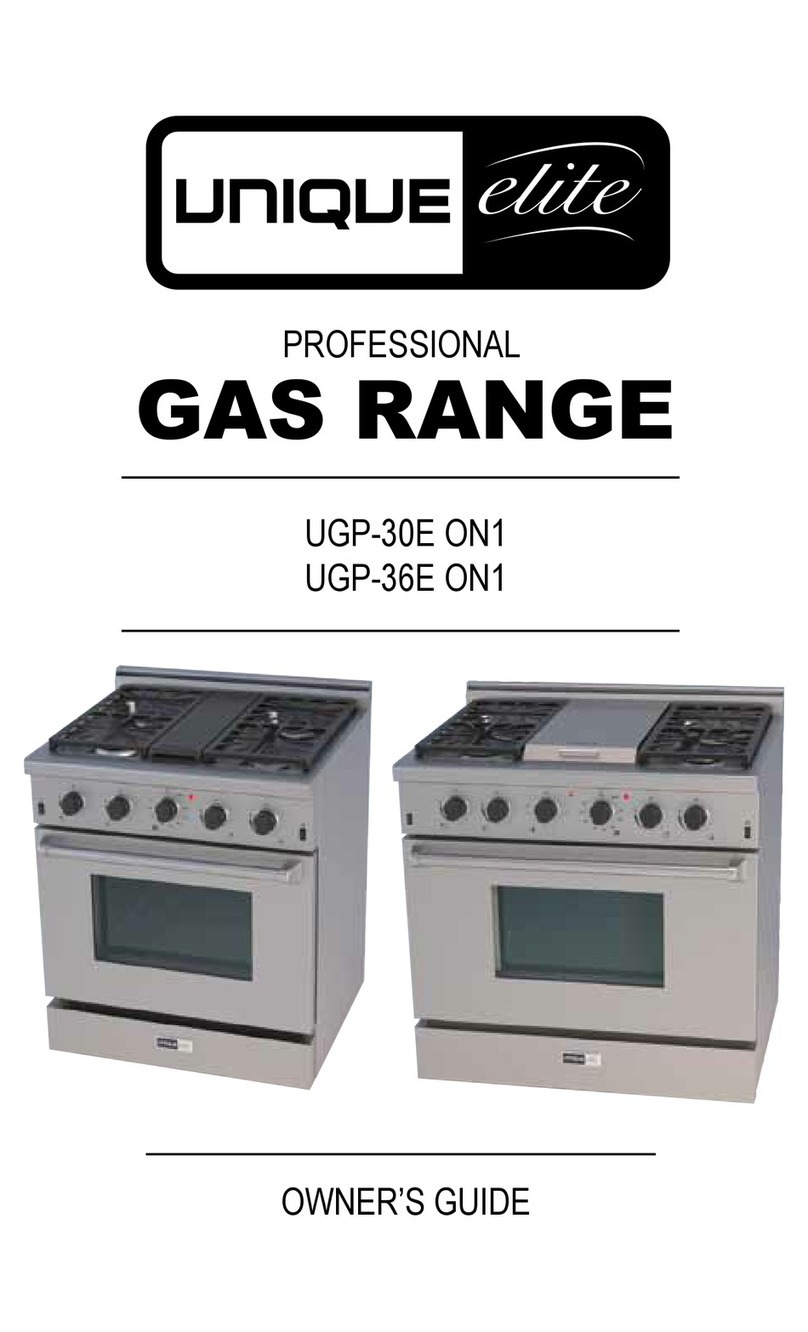 Unique UGP-30E ON1 User manual