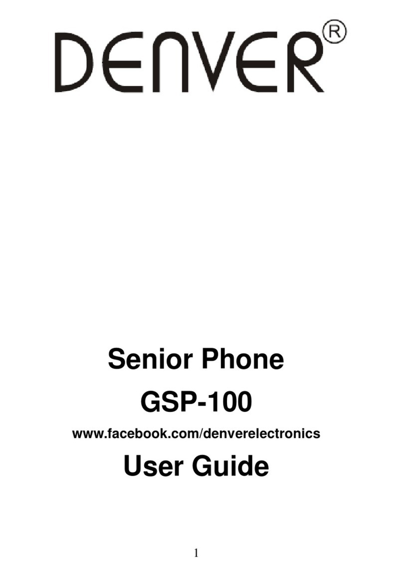 Denver GSP-100 User manual