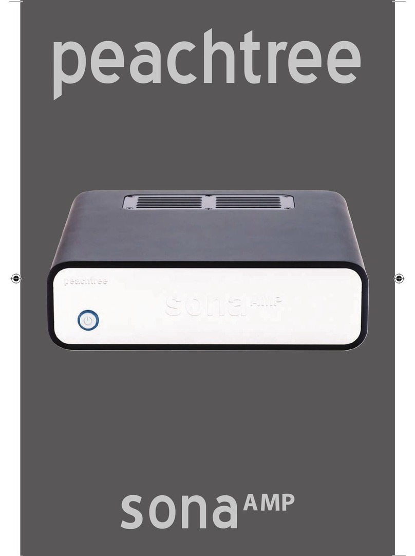 Peachtree sonaAMP instruction manual