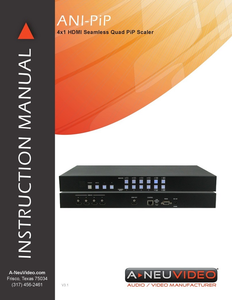 A-Neuvideo ANI-PiP User manual