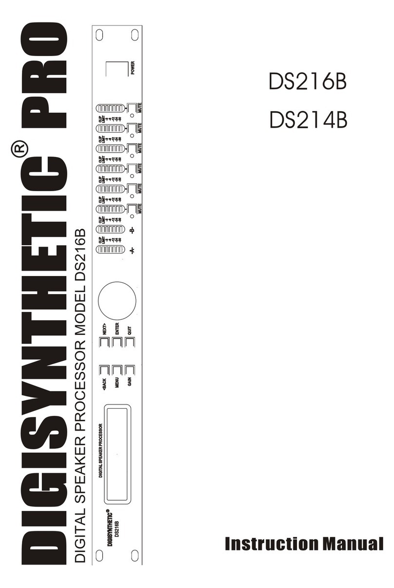 DIGISYNTHETIC DS216B User manual