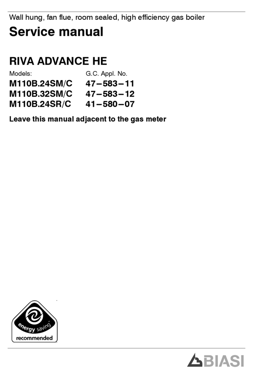 Biasi RIVA ADVANCE HE M110B.24SM/C Service manual