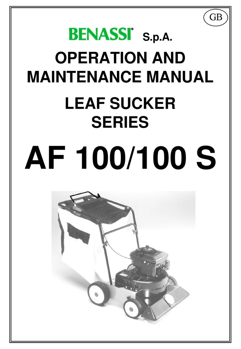 Benassi AF 100 S User manual
