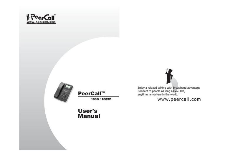 PeerCall 100B user manual