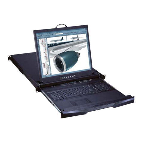 CyberView D117 User manual