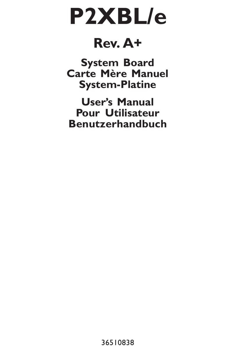 DFI P2XBL/E user manual