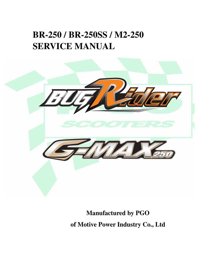 PGO Bug Rider BR-250 Service manual